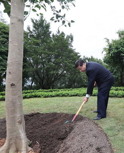 2012年12月7日至11日，習(xí)近平在廣東省考察工作。這是8日上午，習(xí)近平在深圳蓮花山公園種下一棵高山榕樹。新華社記者 蘭紅光 攝
