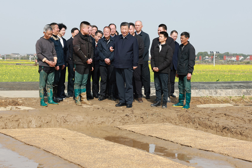 2024年3月18日至21日，中共中央總書記、國家主席、中央軍委主席習(xí)近平在湖南考察。這是19日下午，習(xí)近平在常德市鼎城區(qū)謝家鋪鎮(zhèn)港中坪村走進(jìn)田間，察看秧苗培育和春耕備耕進(jìn)展。新華社記者 王曄 攝